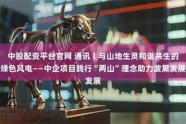 中股配资平台官网 通讯丨与山地生灵和谐共生的绿色风电——中企项目践行“两山”理念助力波黑发展